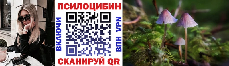 Псилоцибиновые грибы ЛСД  Сосенский 